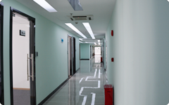 开云APP网络客户